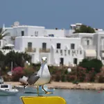 Artemis Hotel 2*
