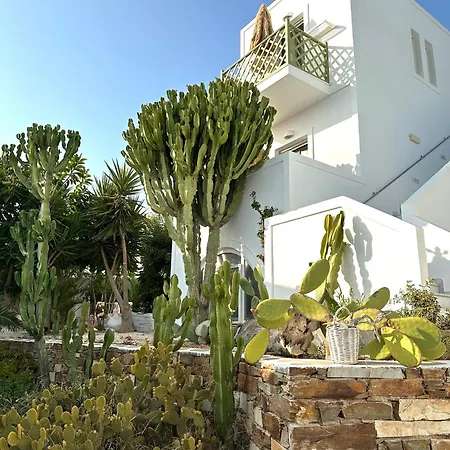 Artemis Hotel 2*