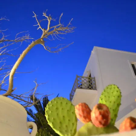 Artemis Hotel Antiparos