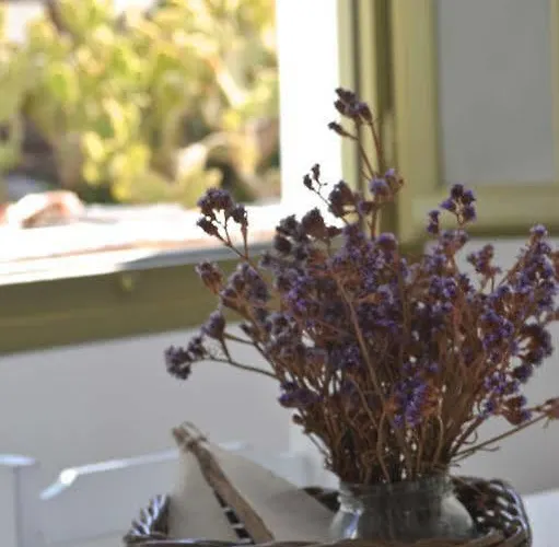 Artemis Hotel Antiparos