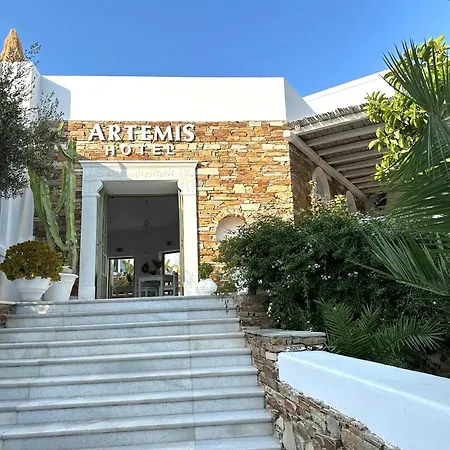 Artemis Antiparos Town