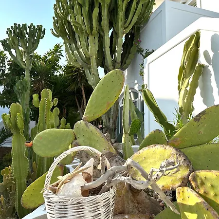 Artemis Szálloda 2*