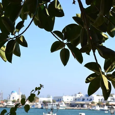 Artemis Hotell Antiparos Town