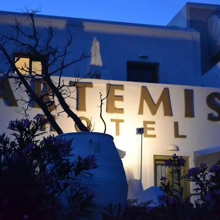 Artemis Hotell 2*