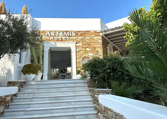 Artemis Antiparos Town