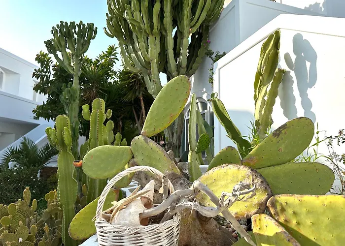 阿特米斯酒店 酒店 2*