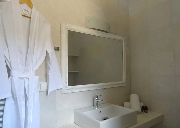 阿特米斯酒店 酒店 2*