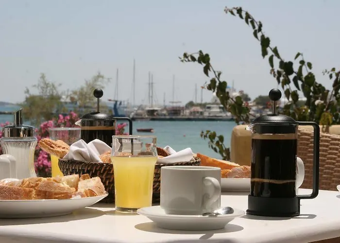 酒店 阿特米斯酒店 2*